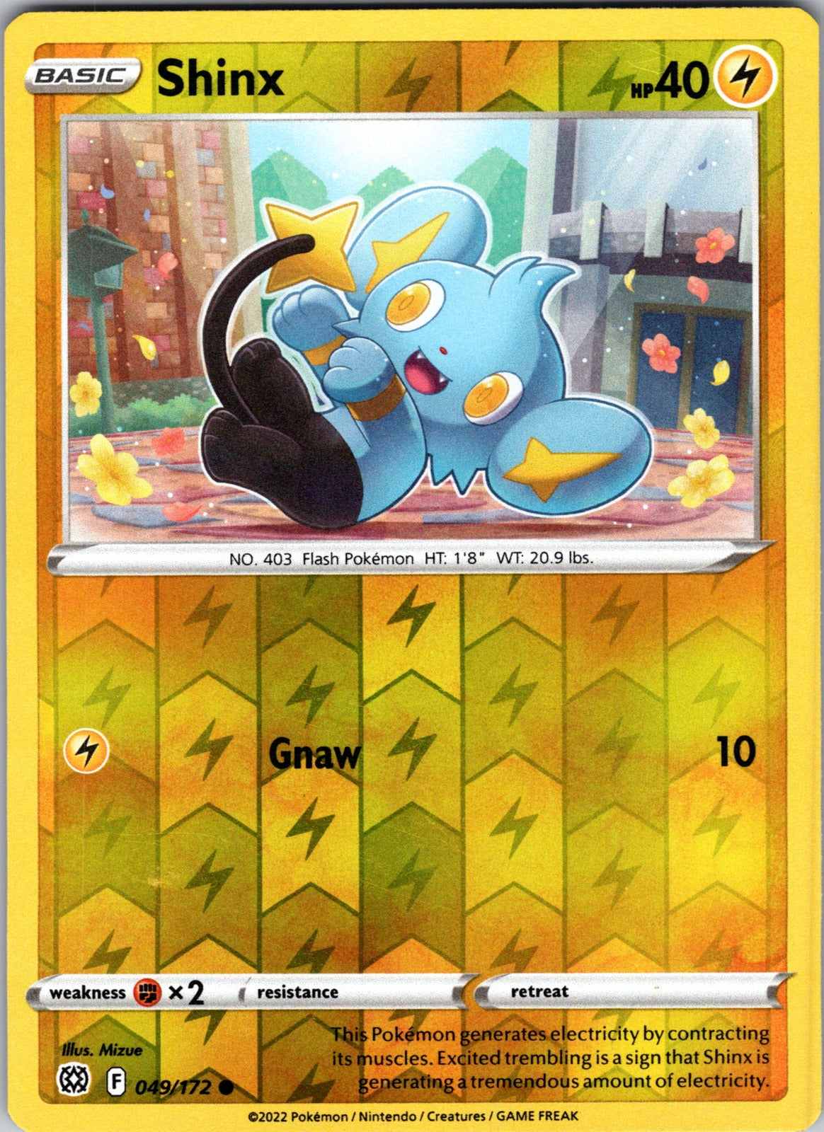 Shinx | 049/172 | SWSH09: Brilliant Stars | Reverse Holofoil
